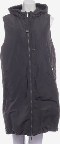 Peserico Jacket & Coat in L in Grey