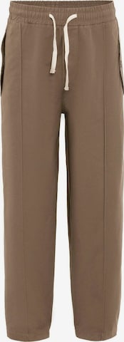Dandaloregular Hlače - smeđa boja: prednji dio