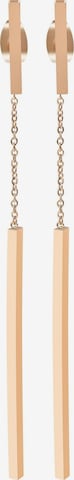 Akzent Earrings 'Vida, langlebig' in Gold: front