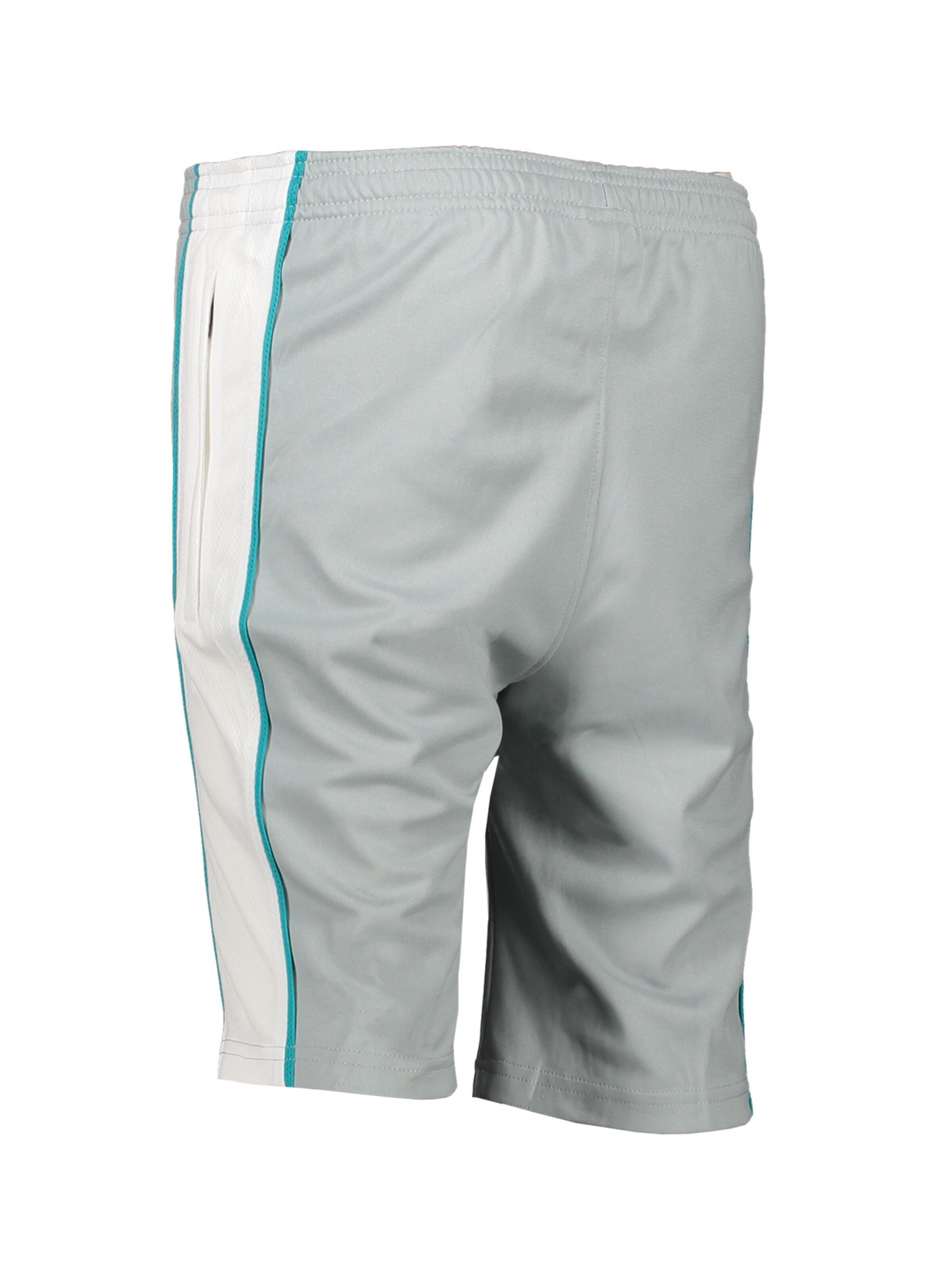 NIKE Regular Sportbroek in Grijs