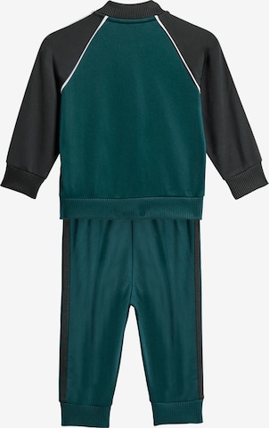 ADIDAS ORIGINALS Облекло за бягане 'Adicolor' в зелено