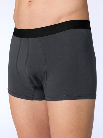 Albero Natur Boxershorts 'Herren Trunkshorts aus Bio-Baumwolle'‌‌ in Grau