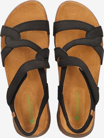 EL NATURALISTA Strap Sandals in Black