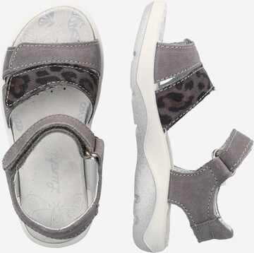 LURCHI Sandal 'FIORI' in Grey