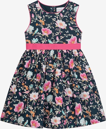 Danamade Mekko värissä sininen: etupuoli