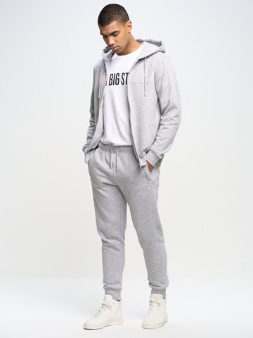 BIG STAR Tapered Hose 'KERSYN' in Grau