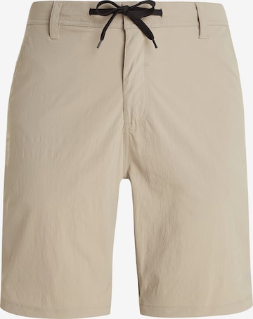 PROTEST Regular Pants 'PRTNAVAGIO' in Brown: front