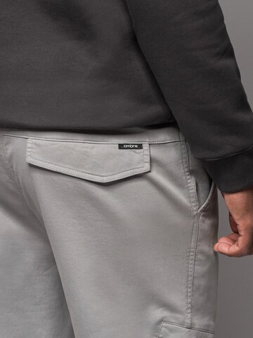 Ombre Tapered Cargo trousers 'Pajo' in Grey