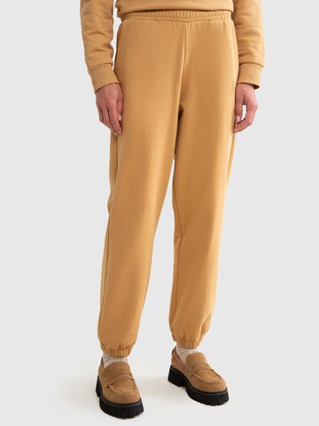 BIG STAR Tapered Trousers 'LARISSA' in Brown