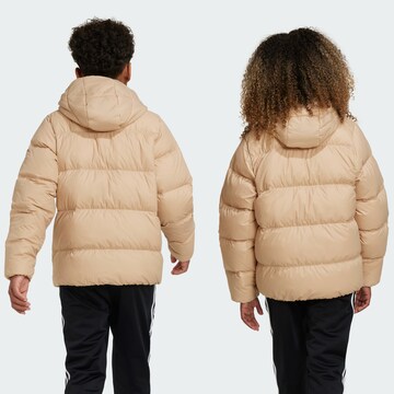 ADIDAS ORIGINALS Winter jacket 'Adicolor' in Beige