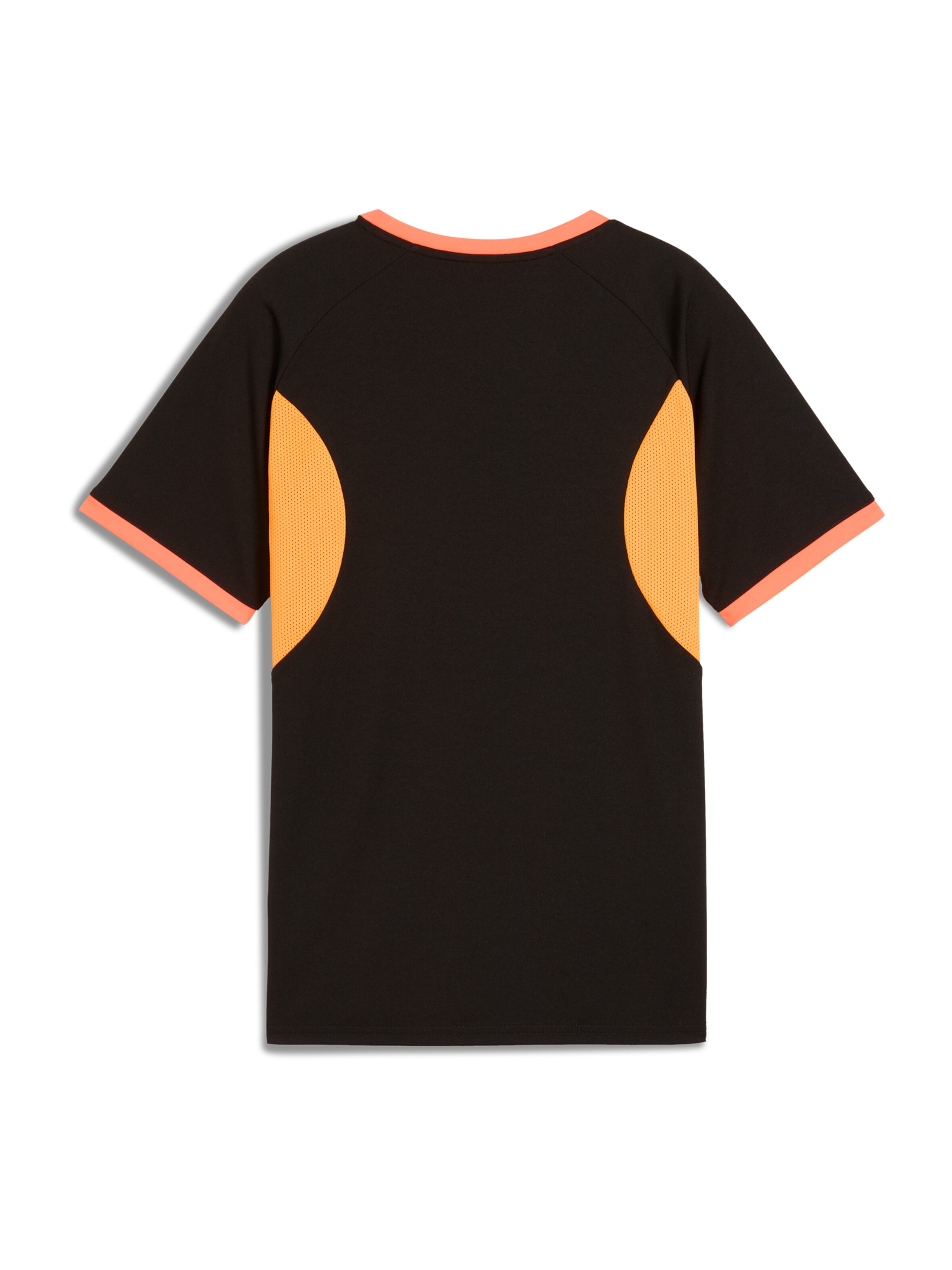 PUMA Funktionsshirt 'IndividualLIGA' in Schwarz