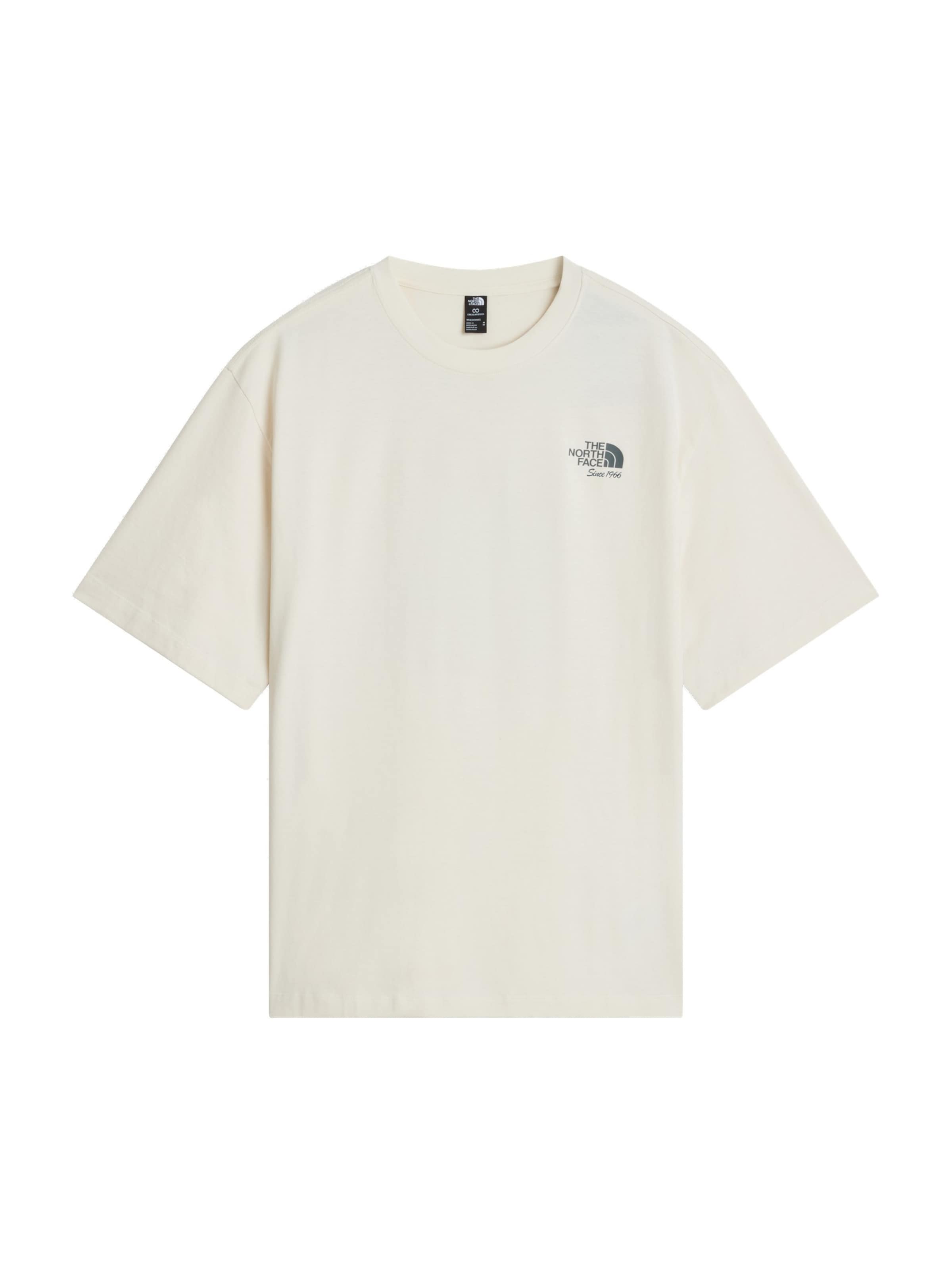 THE NORTH FACE - Camiseta en gris: frente