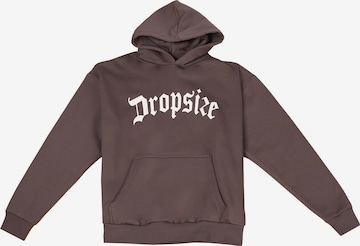 Dropsize Sweatshirt in Brown: front