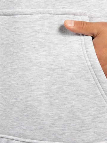 Veste de survêtement Smilodox en gris