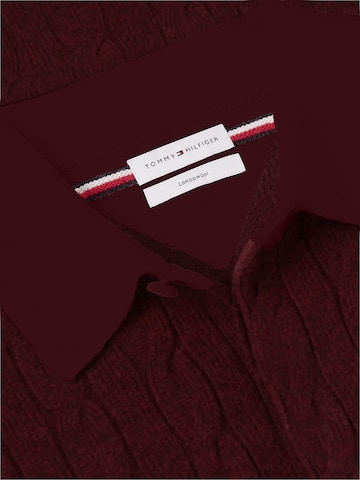 TOMMY HILFIGER Trui in Bruin