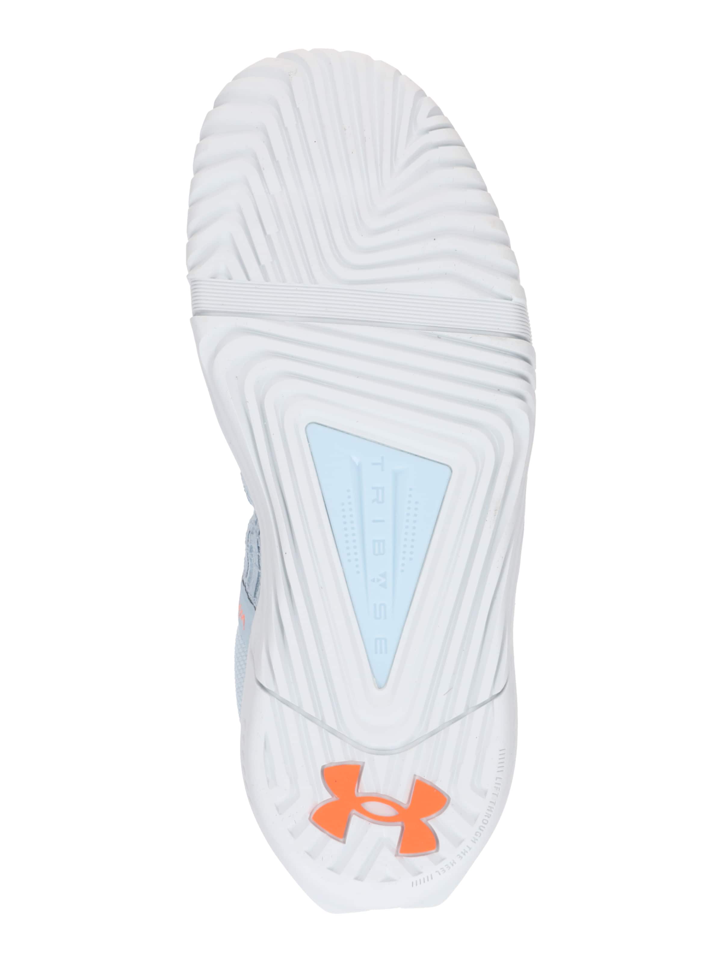 UNDER ARMOUR Спортивная обувь 'Reign 6' в Синий