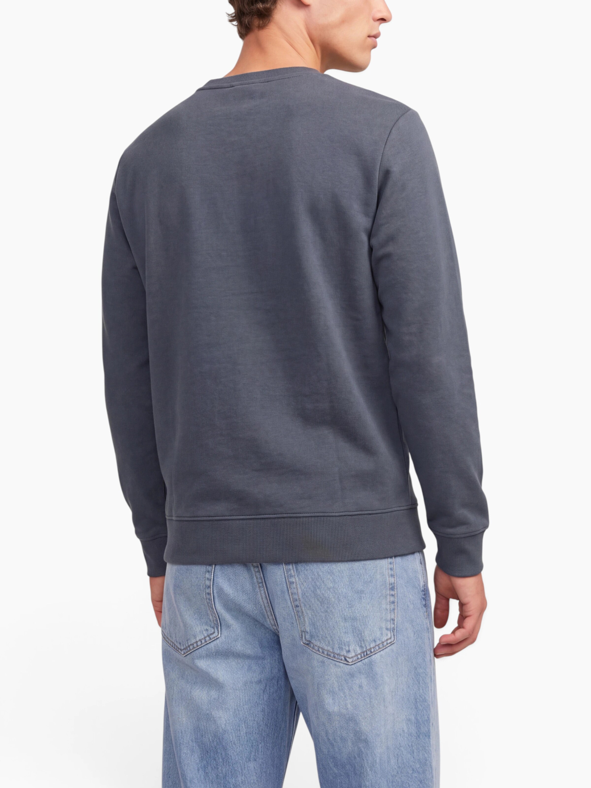 JACK & JONES Sweatshirt 'JJMUNK' in Grey