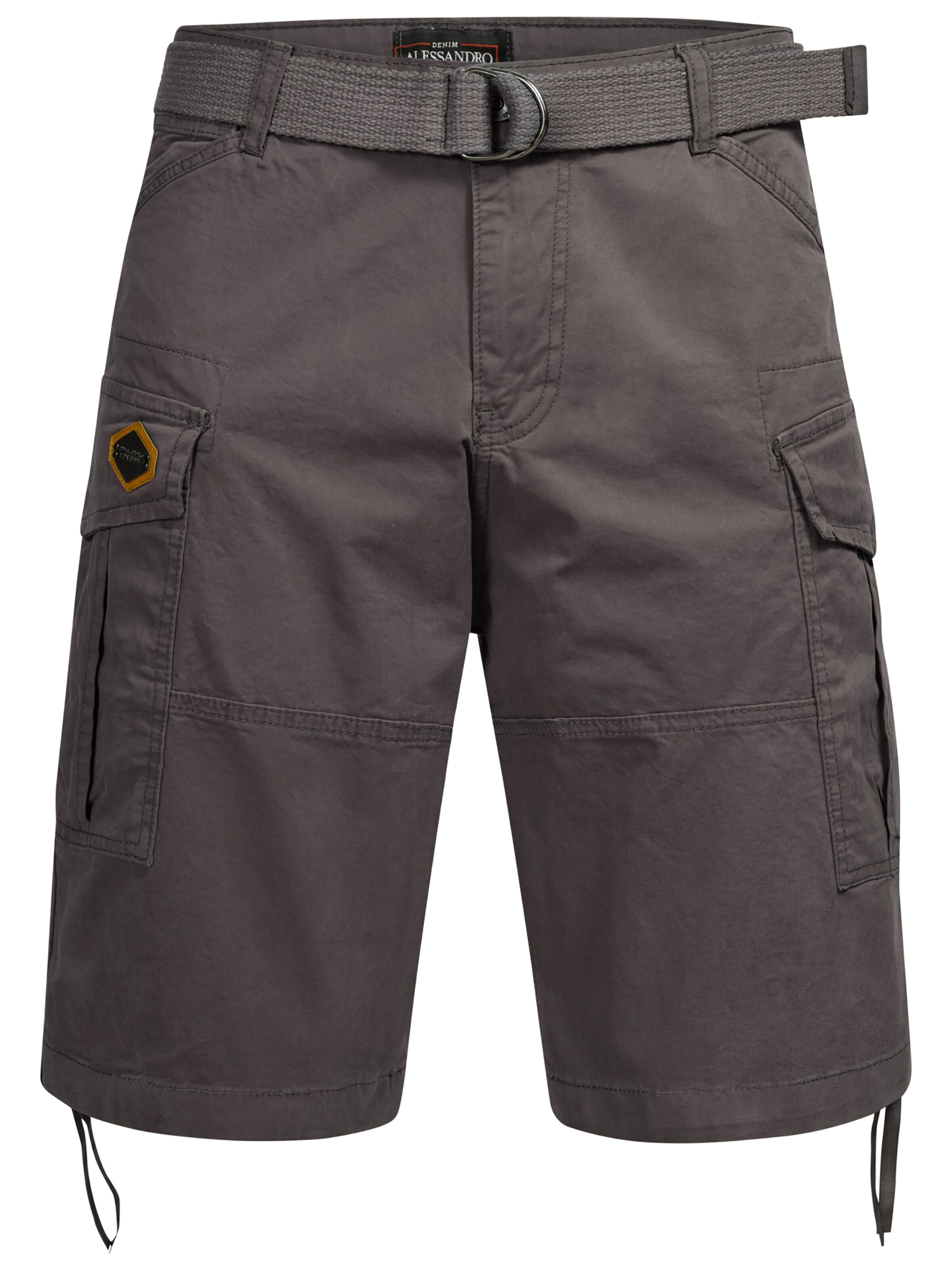 Alessandro Salvarini Shorts in Grau: Vorderseite