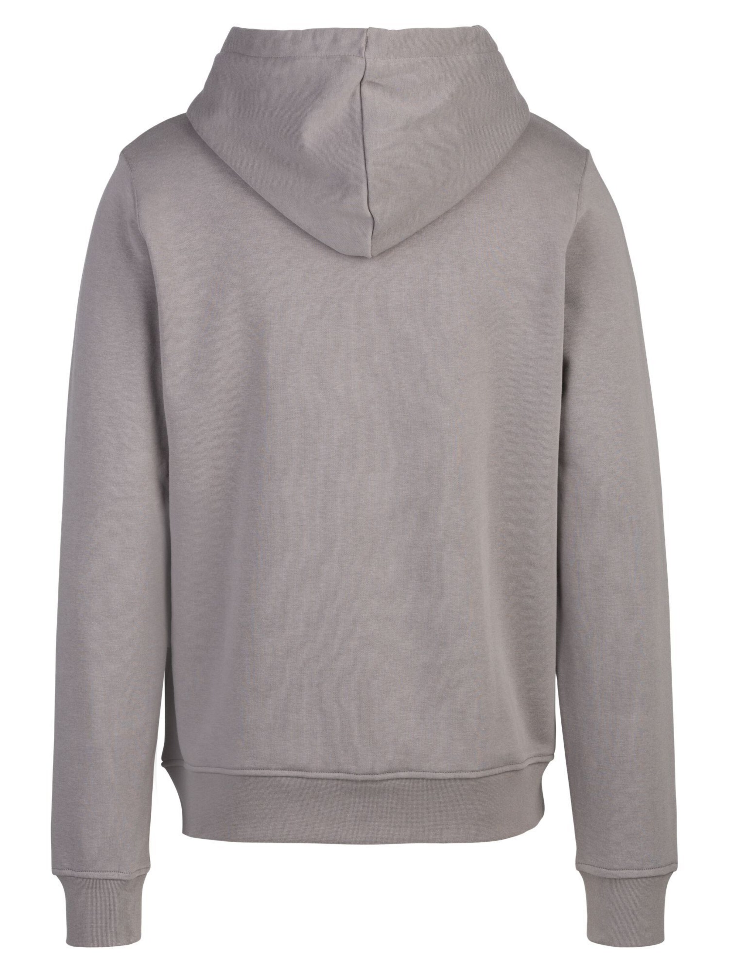 REPLAY Sweatshirt in Grey