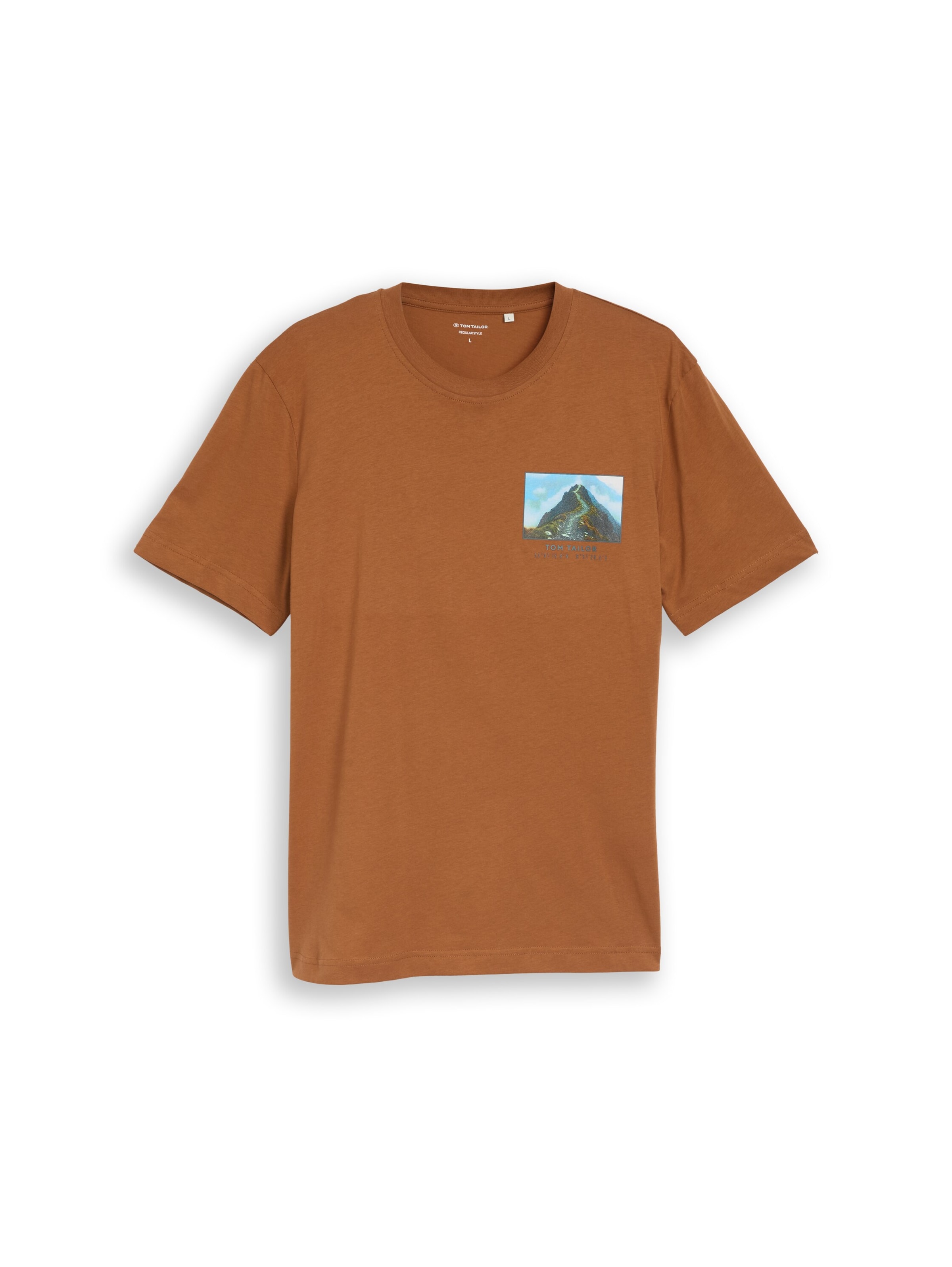 TOM TAILOR Shirt in Brown: front