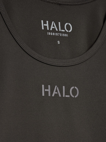 HALO Top in Bruin