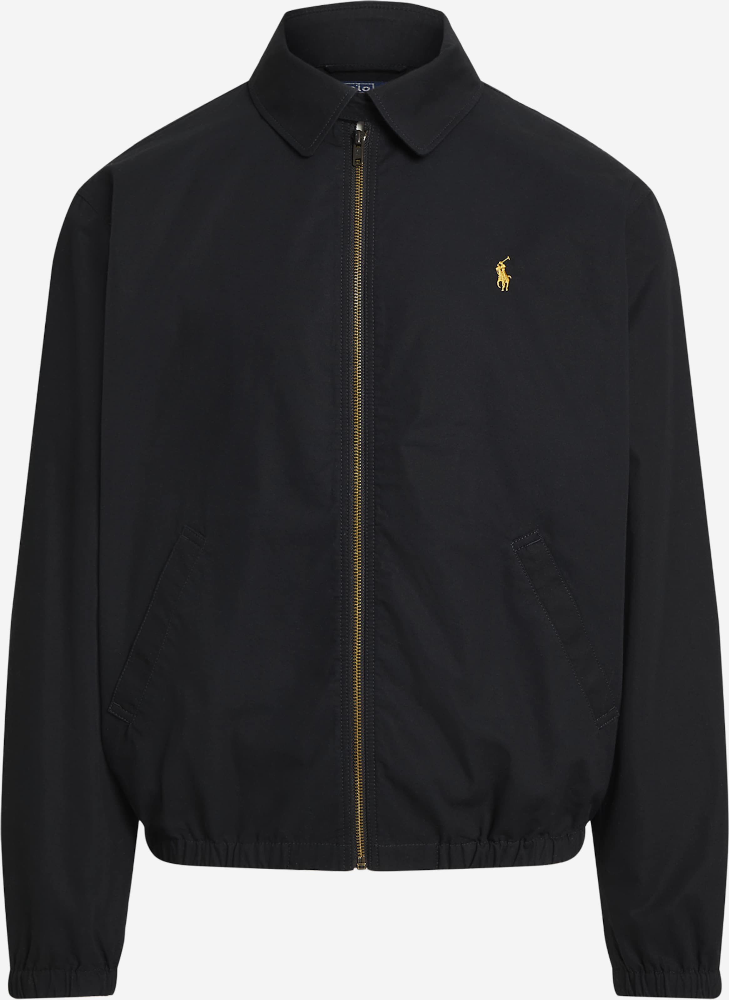 POLO RALPH LAUREN season manual まとめて ① 55090502_o.jpg?v=