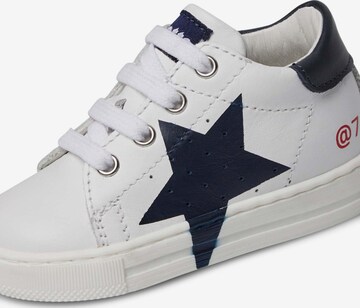 Falcotto Sneakers 'SALAZAR 3' in Blauw: voorkant