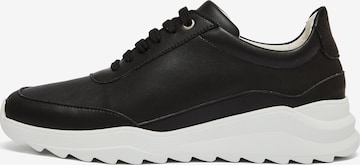 NINE TO FIVE Sneakers 'Florida (v)' in Black: front