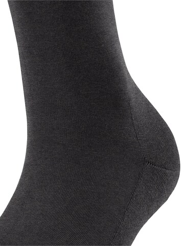 FALKE Knee High Socks 'ClimaWool' in Grey