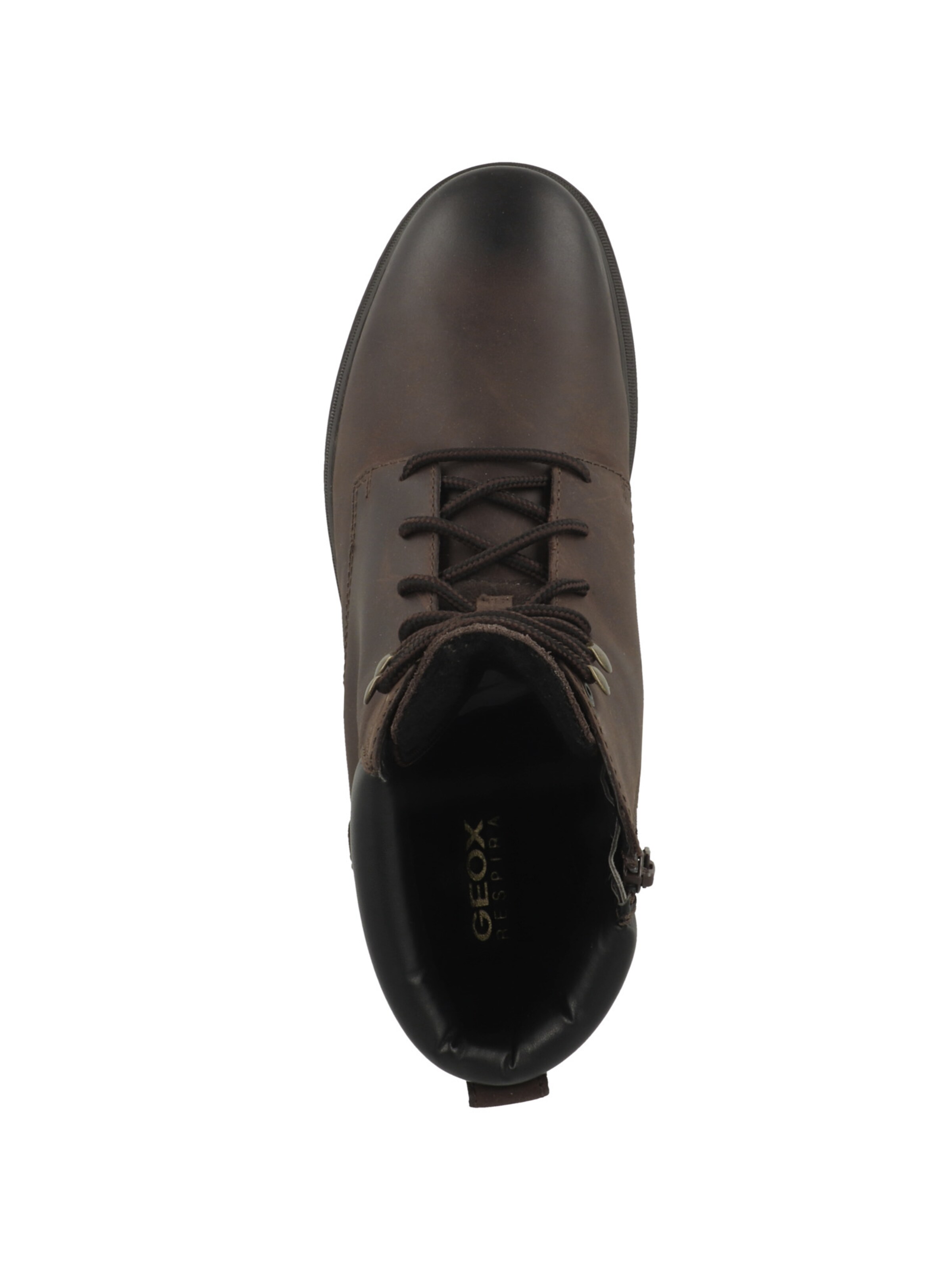 GEOX Veterboots 'Andalo' in Bruin