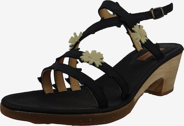 EL NATURALISTA Strap Sandals in Black: front