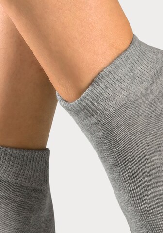 H.I.S Socks in Grey