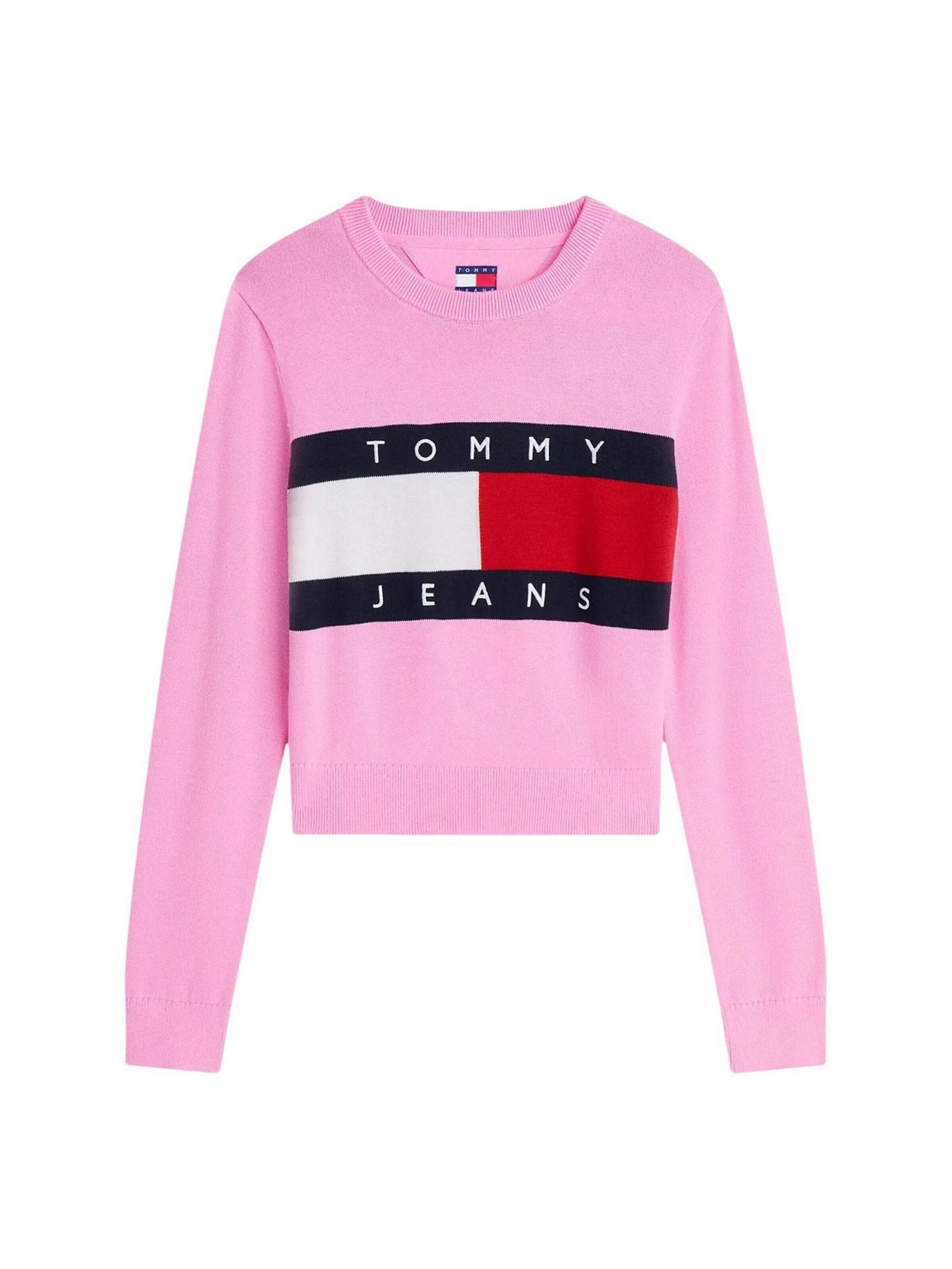 Pullover 'DW0DW22930' di Tommy Jeans in rosa