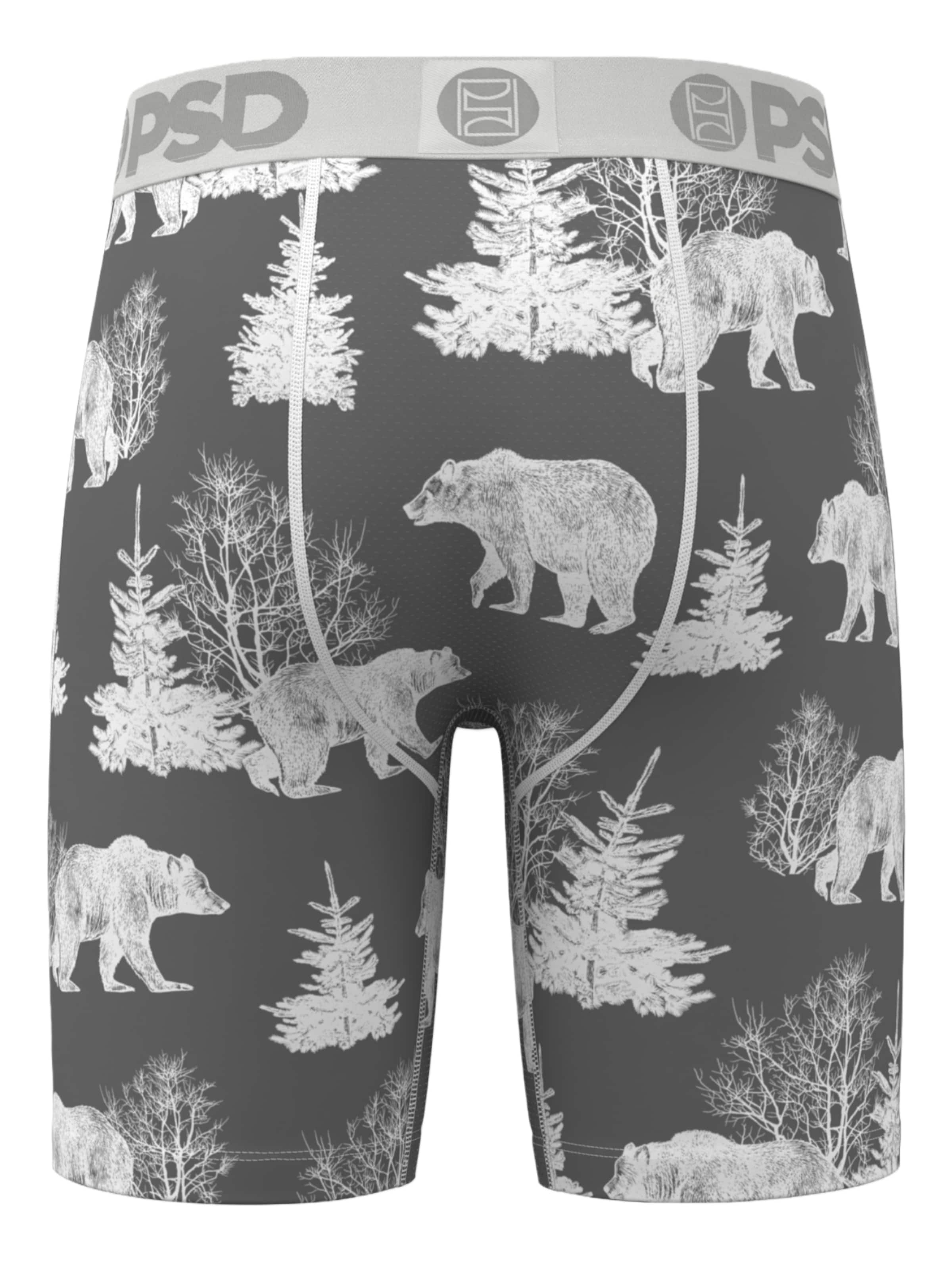 Boxers 'BEAR CHILL' PSD en mélange de couleurs