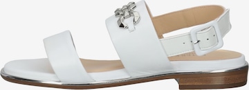 PETER KAISER Sandals in White