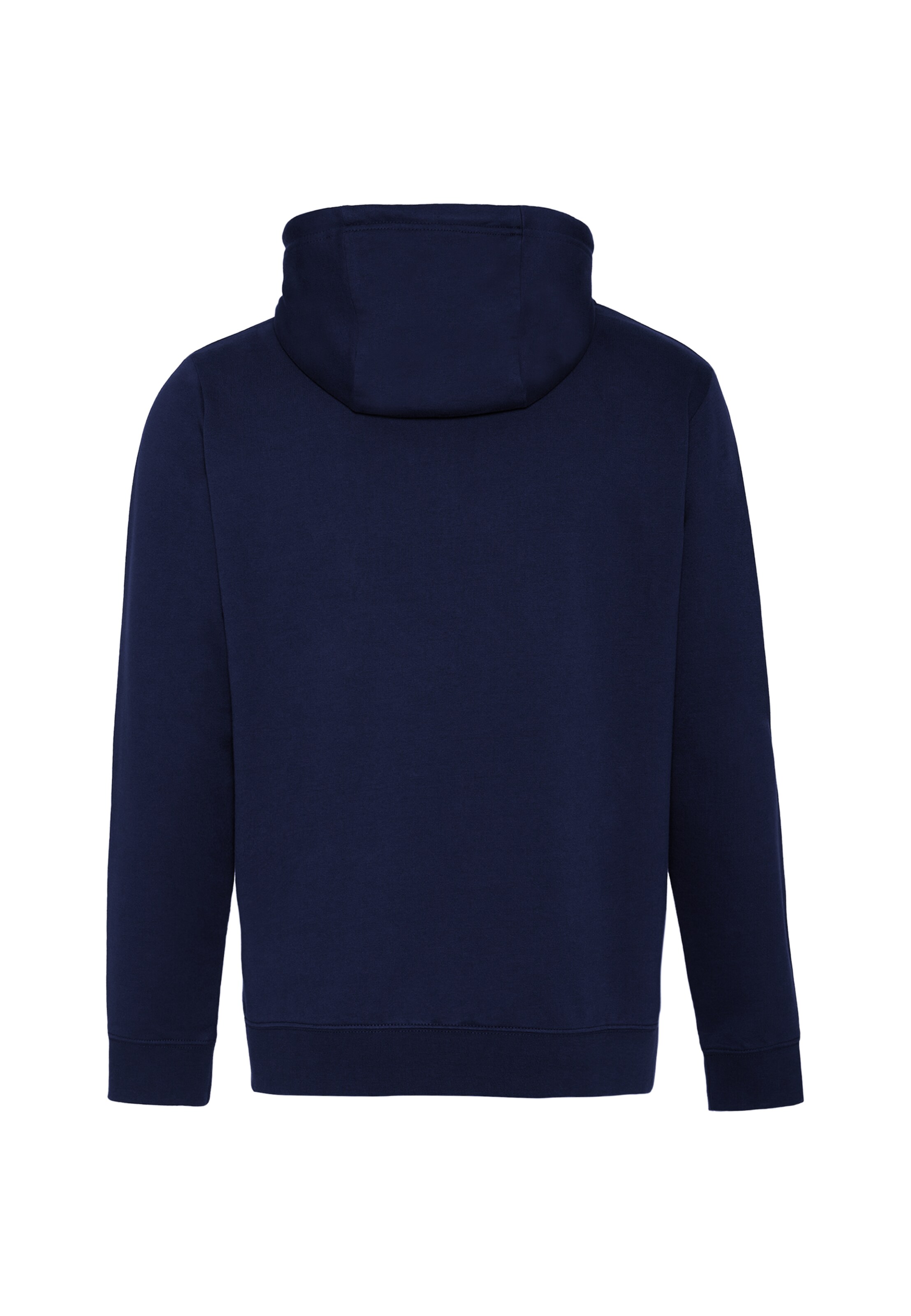 Oldskull Zip-Up Hoodie 'Basic Osk Logo' in Blue
