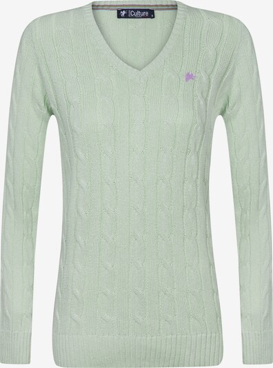 DENIM CULTURE Sweater 'Perla' in Pastel green / Light purple, Item view