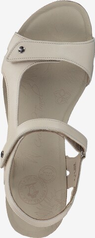 PANAMA JACK Sandalen met riem 'Varel' in Beige