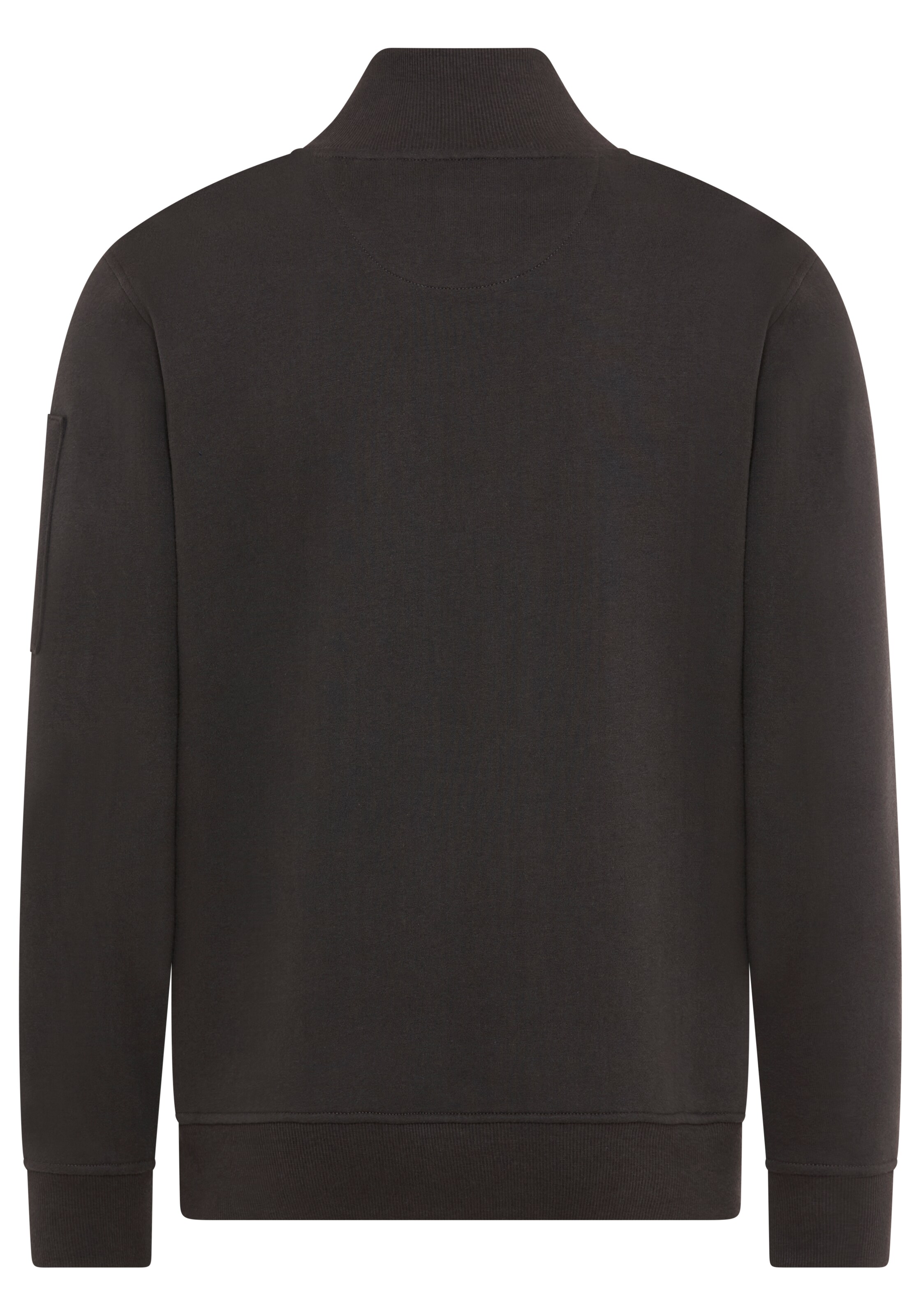 DELMAO Sweatshirt in Grey