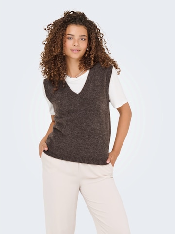 JDY Sweater 'JDYELANORA' in Brown: front