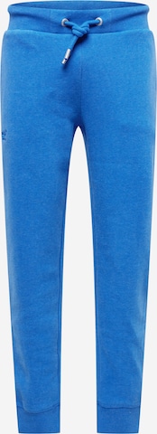 Pantalon Superdry en bleu : devant