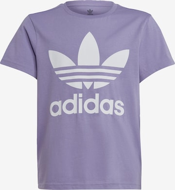 ADIDAS ORIGINALS Shirt 'Trefoil' in Purple: front