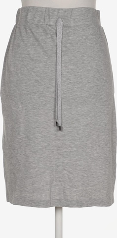 Gran Sasso Skirt in S in Grey: front