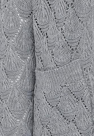 caneva Gebreid vest in Grijs