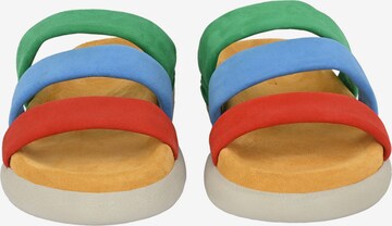 Sandales 'MATHEA' Crickit en mélange de couleurs