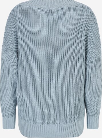 Pullover 'VEE' di Banana Republic Petite in blu