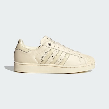 Baskets basses ' Superstar II' ADIDAS ORIGINALS en blanc