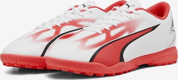 Chaussure de foot 'ULTRA PLAY' PUMA en blanc