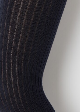 CALZEDONIA Tights in Blue