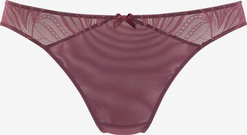 NUANCE Lingerie for women | Buy online | ABOUT YOU | Klassische Panties